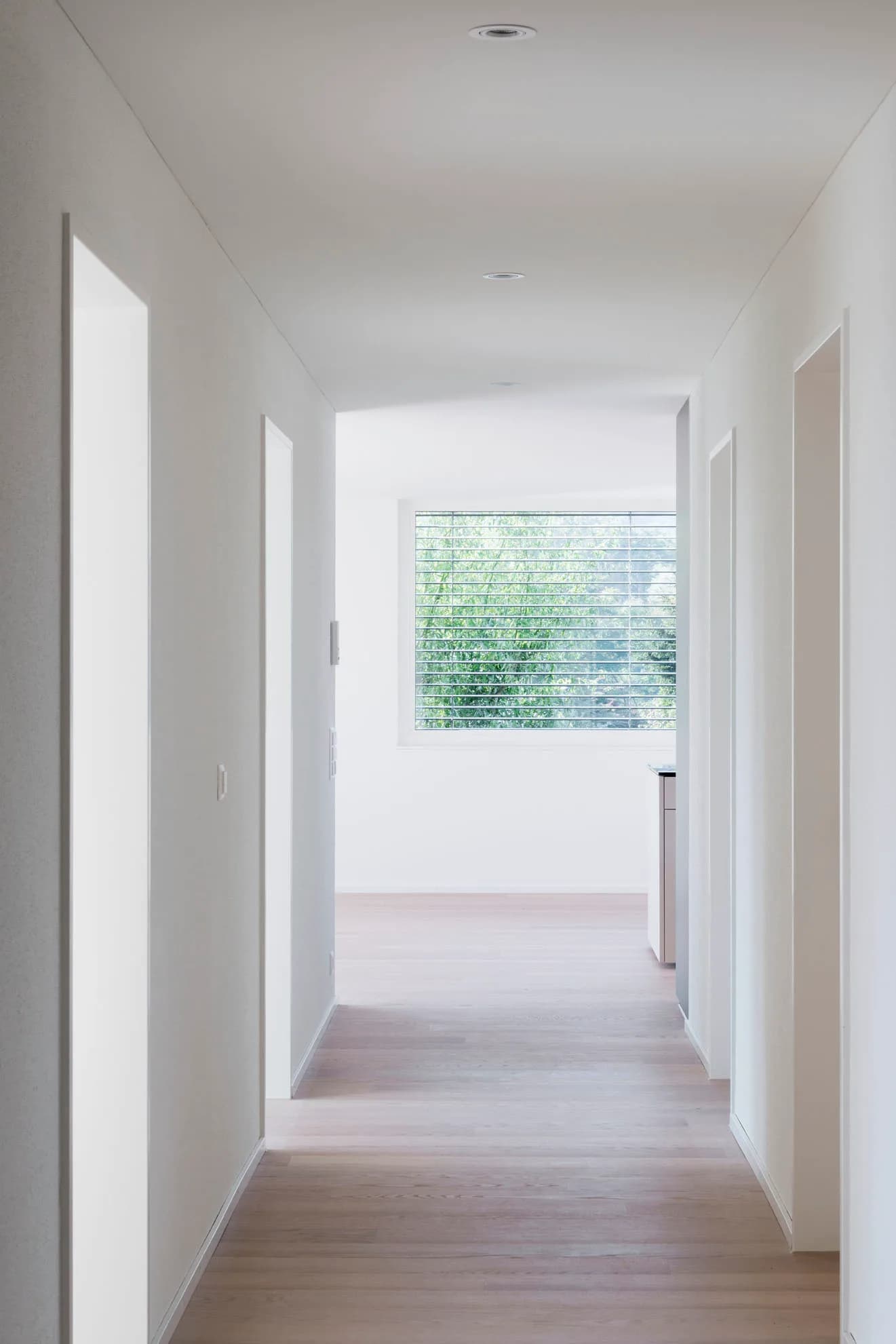 Wohnhaus Limmatstrasse, Vogelsang